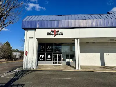 CSC RVA BJJ Academy - photo 1