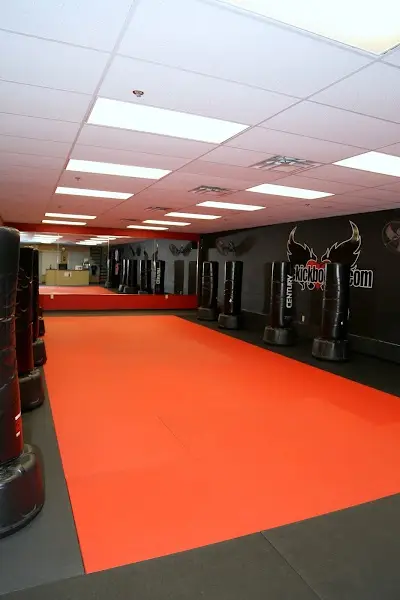 CT Krav Maga & MMA BJJ Academy - photo 3