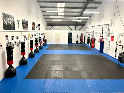 Cyclone Martial Arts BJJ Academy - photo 4
