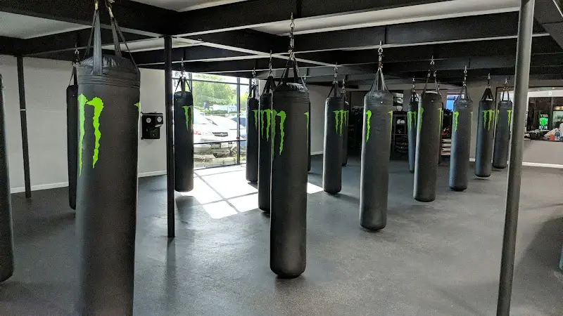 Dan Henderson's Athletic Fitness Center BJJ Academy - photo 1