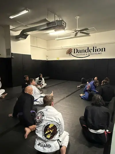 Dandelion Brazilian Jiu-jitsu BJJ Academy - photo 1