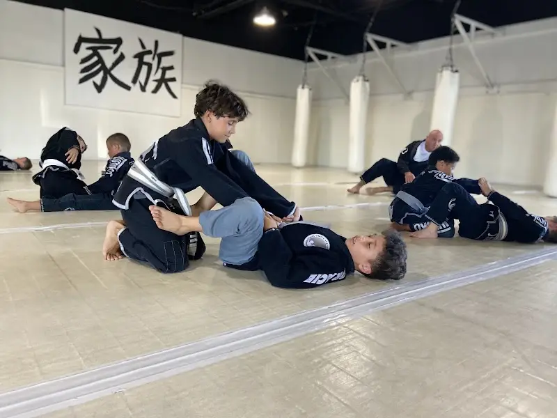 Daniel Gracie Academy of Plymouth BJJ Academy - photo 2