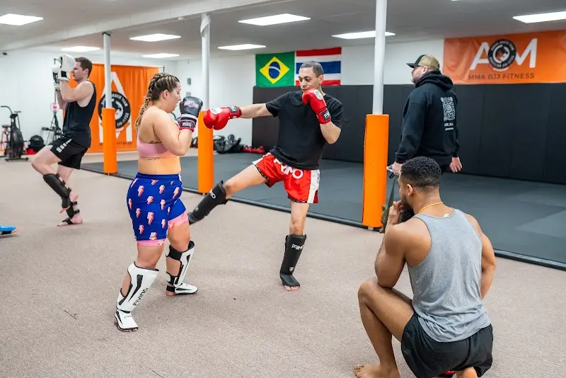 Daniel Gracie Art of Movement BJJ Academy - photo 1