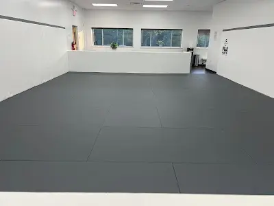 Daniel Tavares Brazilian Jiu-Jitsu Academy BJJ Academy - photo 2