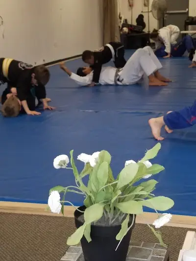 Daniel Tavares Brazilian Jiu-Jitsu Academy BJJ Academy - photo 3