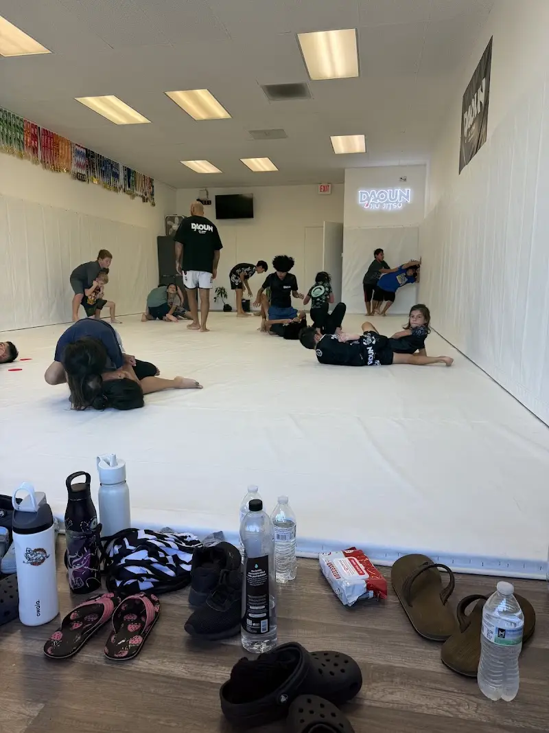 DAOUNJIUJITSU BJJ Academy - photo 2