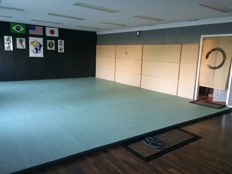 Darcio Lira Brazilian Jiu Jitsu BJJ Academy - photo 2