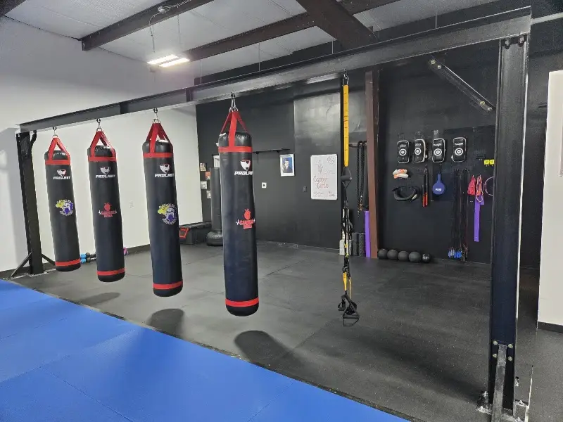 Darcio Lira Jiu-jitsu Texas BJJ Academy - photo 2