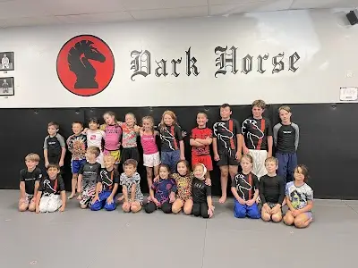 Dark Horse Brazilian Jiu Jitsu BJJ Academy - photo 1