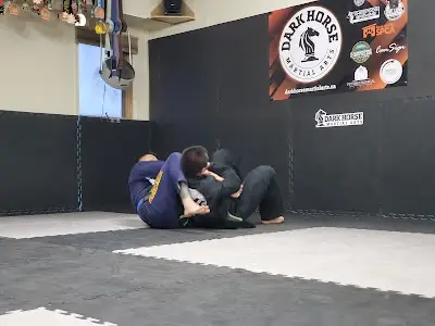 Dark Horse Martial Arts BJJ Academy - photo 0