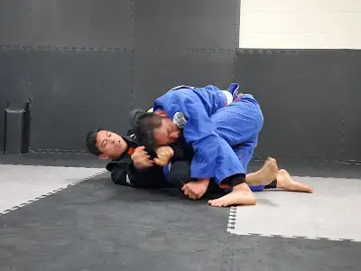 Dark Horse Martial Arts BJJ Academy - photo 3