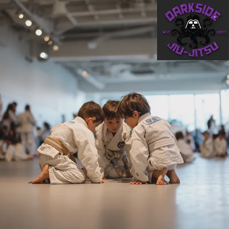 Darkside Jiu-Jitsu LLC BJJ Academy - photo 1
