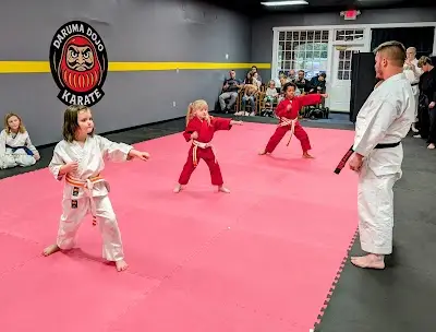 Daruma Dojo Karate BJJ Academy - photo 1