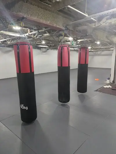 Dascalu Muay Thai BJJ Academy - photo 2