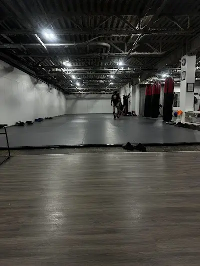 Dascalu Muay Thai BJJ Academy - photo 4