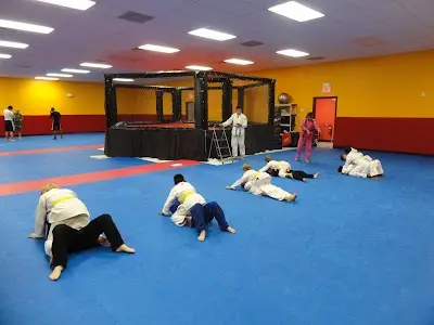 Dauntless Brazilian Jiu-Jitsu BJJ Academy - photo 1