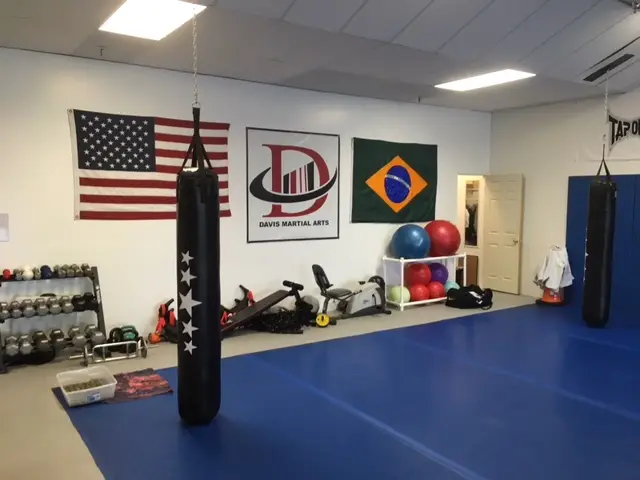 Davis Martial Arts Academy BJJ Academy - photo 1