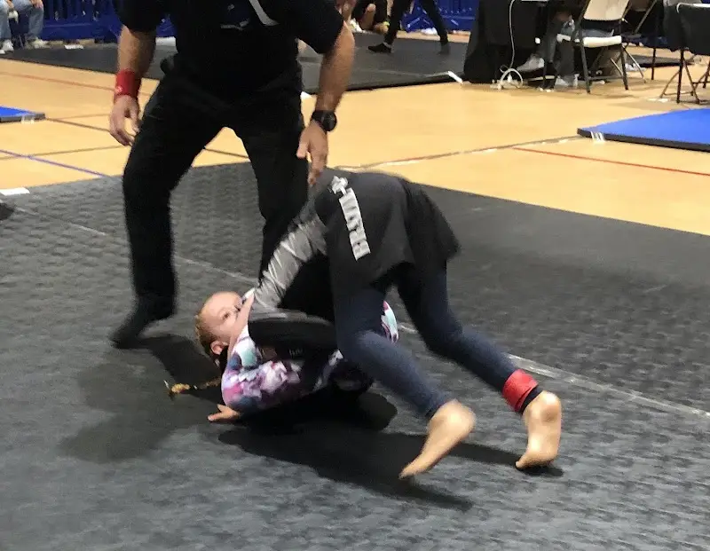 Davis Martial Arts Academy BJJ Academy - photo 2