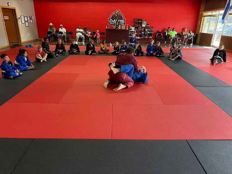 Davis Martial Arts & Fitness BJJ Academy - photo 1