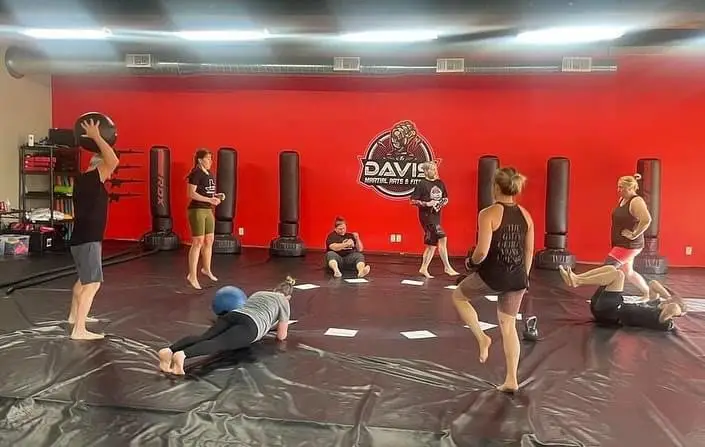 Davis Martial Arts & Fitness BJJ Academy - photo 2