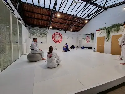 De Souza Dojo Brazilian Jiu-Jitsu Academy BJJ Academy - photo 4