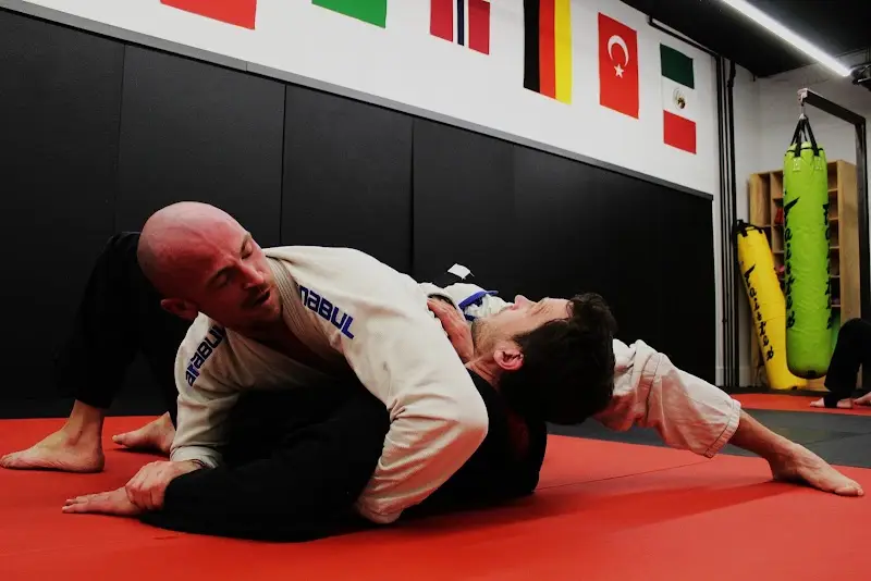 Decorah Martial Arts BJJ Academy - photo 2