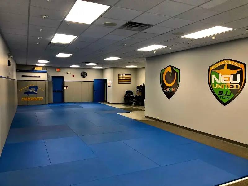 Dedeco Brazilian Jiu-Jitsu BJJ Academy - photo 1