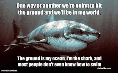 Deep Water Brazilian Jiu Jitsu
