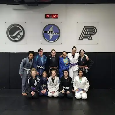Deep Water Brazilian Jiu Jitsu BJJ Academy - photo 1