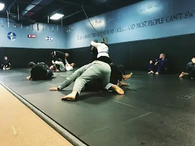 Deep Water Brazilian Jiu Jitsu BJJ Academy - photo 3