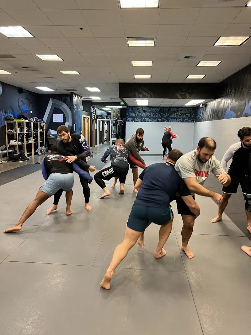 Defiance Jiu Jitsu
