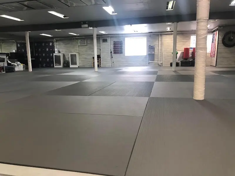 Degerberg Academy of Martial Arts BJJ Academy - photo 1