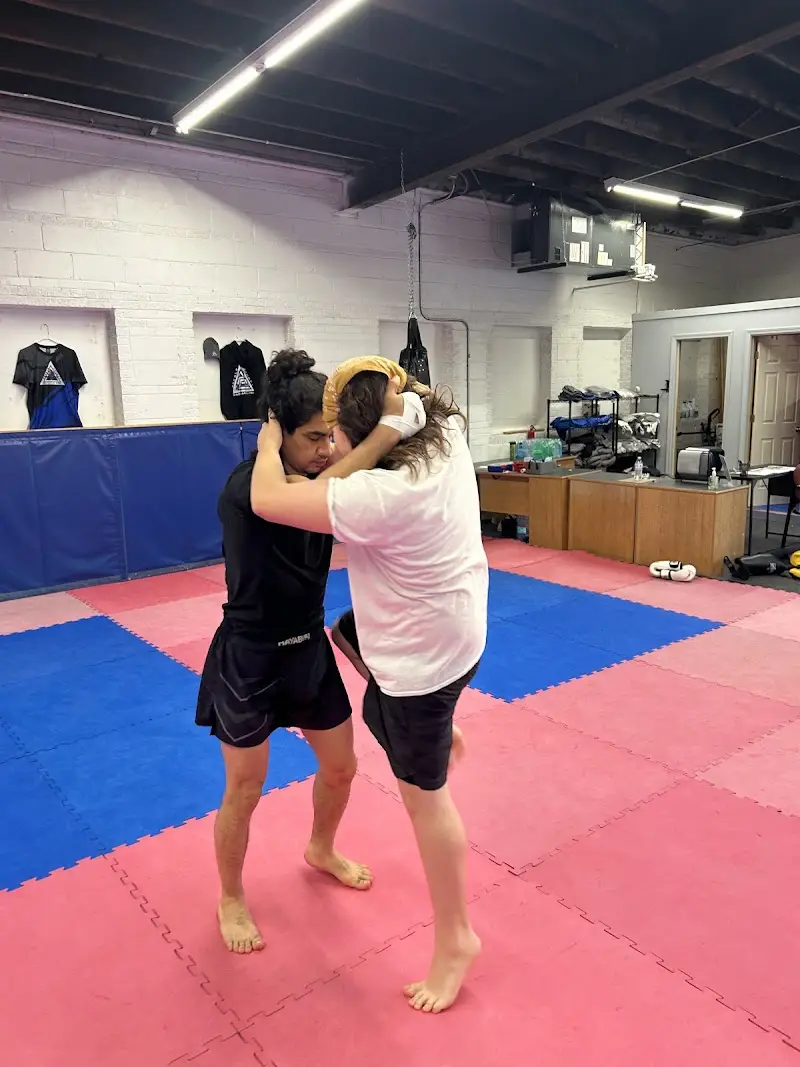 Dekalb County Brazilian Jiu Jitsu