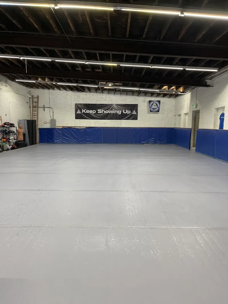 Dekalb County Brazilian Jiu Jitsu BJJ Academy - photo 2