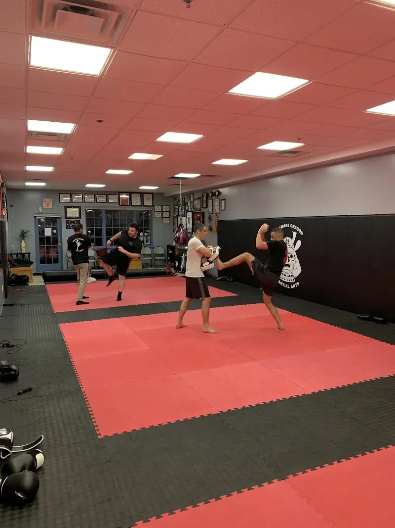 Delaware Dragon Martial Arts