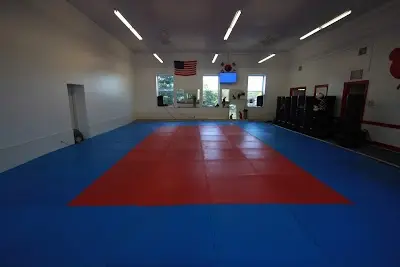 Des Moines Judo & Sambo Academy