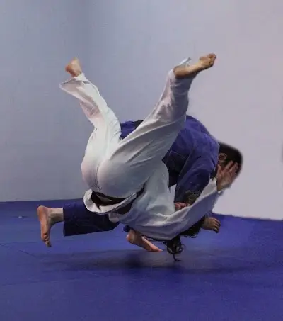 Des Moines Judo & Sambo Academy BJJ Academy - photo 2