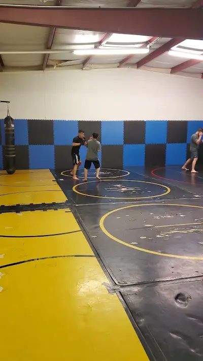 Desert Dynasty MMA BJJ Academy - photo 2