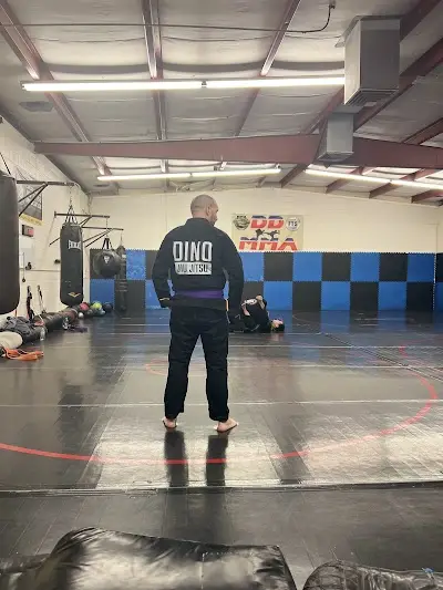 Desert Dynasty MMA BJJ Academy - photo 3
