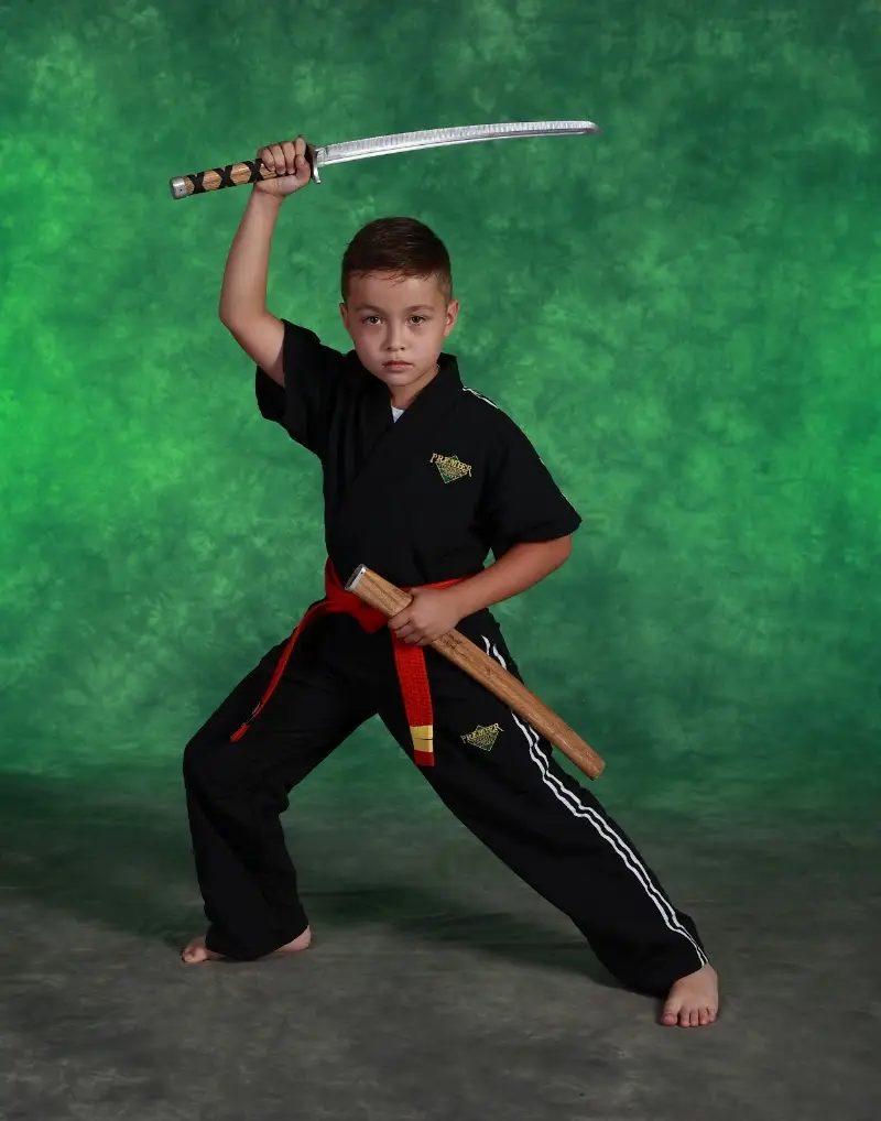 DeStolfo's Premier Martial Arts BJJ Academy - photo 1