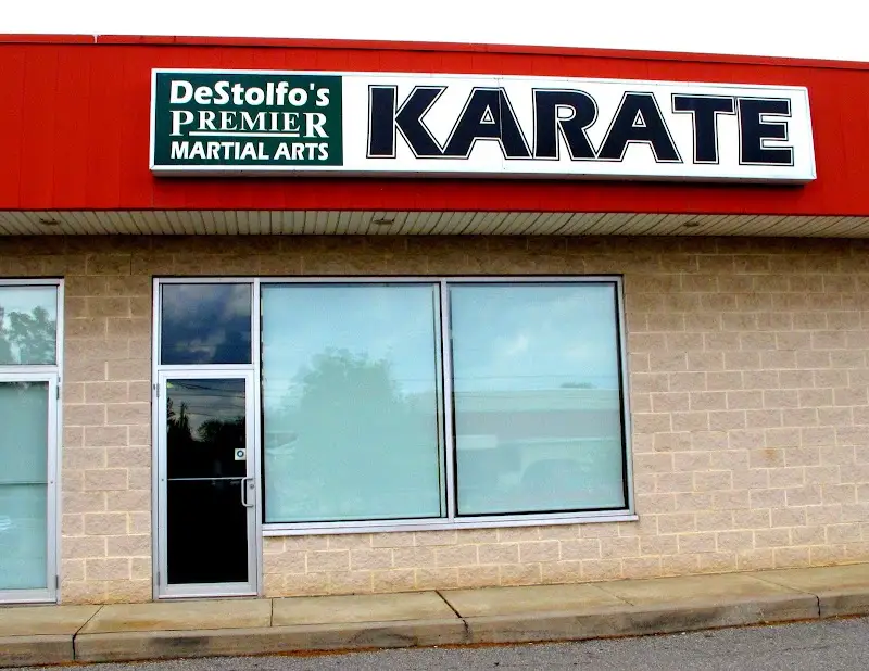 DeStolfo's Premier Martial Arts BJJ Academy - photo 2