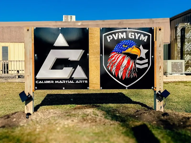Devine Jiu-Jitsu Lake Geneva BJJ Academy - photo 2