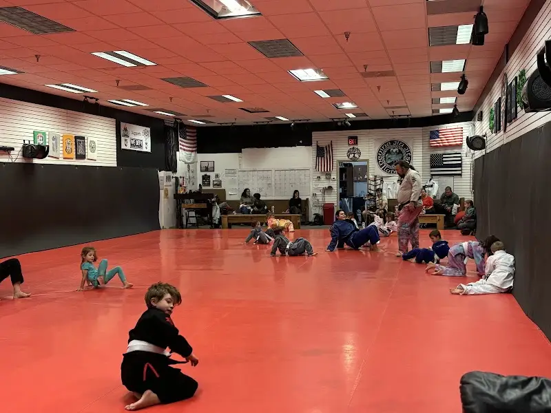 Devine Jiu Jitsu BJJ Academy - photo 1