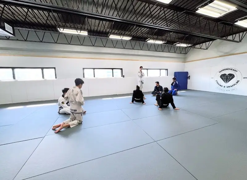 DiamondHeart Striking and Grappling/PCC