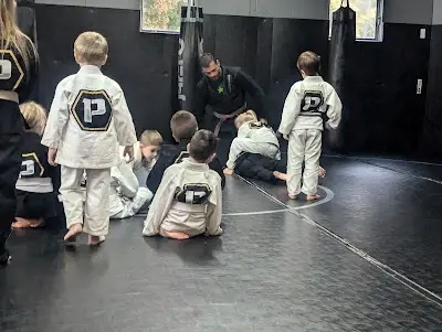 Dillsburg BJJ BJJ Academy - photo 2