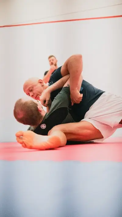 Diss BJJ Grappling Community BJJ Academy - photo 3