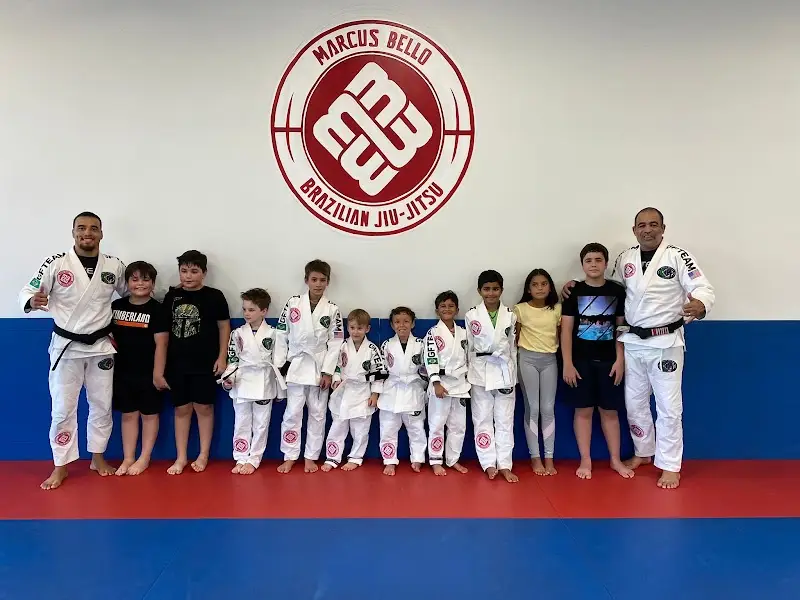 Division One Brazilian Jiu-Jitsu BJJ Academy - photo 2