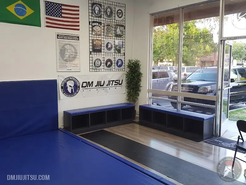DM Brazilian Jiu-Jitsu Academy BJJ Academy - photo 1