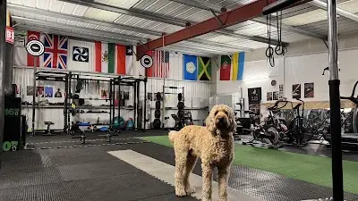 DNA Gym BJJ Academy - photo 1