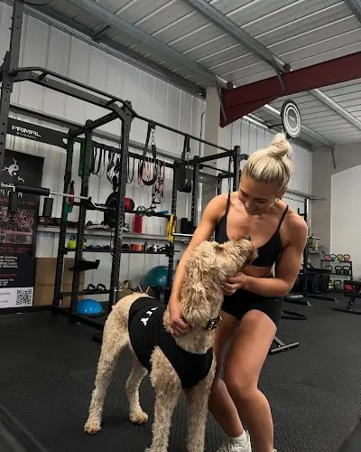 DNA Gym BJJ Academy - photo 2